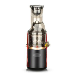 RAF Slow Juicer 150W RAF Slow Juicer 150W