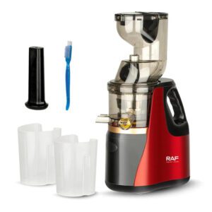 RAF Slow Juicer 150W RAF Slow Juicer 150W